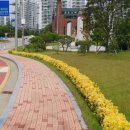 금오대로 도로변 이미지