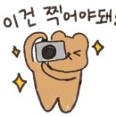 영진약국 이미지