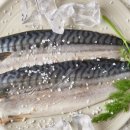 청년고등어 이미지