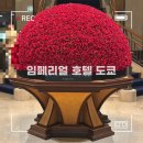 트윈빌딩 | 긴자 5성급 호텔 임페리얼 호텔 도쿄 타워 빌딩 스탠다드 트윈룸 고층 후기