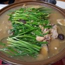 강화 신토오리 이미지