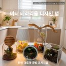 하루디자인랩 | 정원에 담은 나만의 이야기 천안 아로마 공방 코지 시엘 미니테라리움 디자인 랩 수료증 클래스 진행 후기