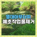 문산갈곡자전거도로 | 위례도로주변아파트예초작업 풀제거대행
