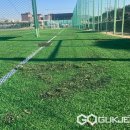 탄금축구장 축구장 이미지