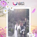 맛순이 추억 | 초보등린이 뚜벅이 (아차산역 시작~용마산역) 코스 추천 후기 주의사항