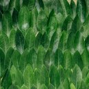 반포대로28길 94 이미지