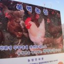 북벽 농장 이미지