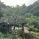 산골초가펜션