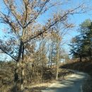 남면목장 이미지