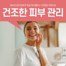 뷰티인 서인