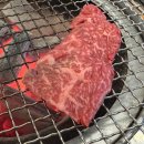 고기프로 | 대구 수성구 맛집 황금동 고기집 장프로 소고기 방문 후기