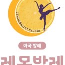 레몬발레 네이버블로그