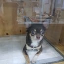 청산동물병원 이미지