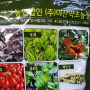 미산농장 이미지