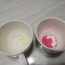 케일주식회사 | 햇풀먹인 착즙주스(ABC,양배추+케일) 리얼후기!