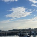 4공단로1R-69 | 2025 Jeju Day 2