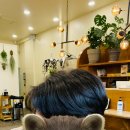 이아네 이미지