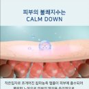 르본제이 - 군산시 지곡로 30 | 트러블·모공 케어 끝판왕, 캄퍼 케어 세럼으로 촘촘 피부 관리