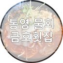 충무물회 | 통영금호리조트 근처 맛집 금호횟집에서 점심 물회먹은 후기!