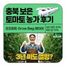 에스제이(SJ)선일 | [후기] 🍅 3년차 배지 상태 점검기! 보은군 토마토·오이 농가 후기