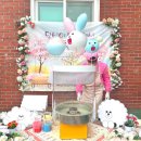 시립안정어린이집 이미지