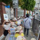 삼양유치원 이미지