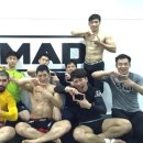 울산팀매드 이미지