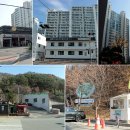 와일드씽베이스볼 이미지