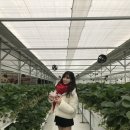 뜰위에농장 이미지