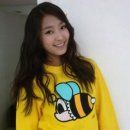 팬콧