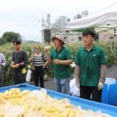 소윤섭농장 이미지