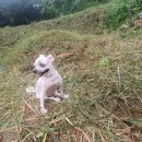 고복수변공원 이미지