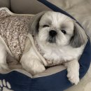 디자인모에 이미지