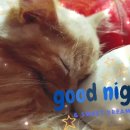 광양행정사사무소 이미지