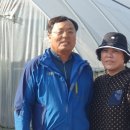 정정옥농장 네이버블로그
