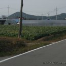 서산시 운산면 수평리 2차도로접 전 (778평) 특급매물 이미지