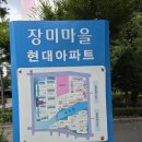 돌마초등학교 | 야탑동(2)임장후기-장미8단지(현대)