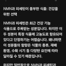 Beta-NMN과 Fisetin의 건강효과 이미지