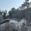 참살이빵 | [안성 캠핑장 추천] 참살이 캠핑장 /옹기종기4,5,6 /끝없는 먹방 캠핑 /차박명소