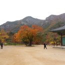 운학농장 이미지