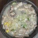 가평댕댕이애견펜션그린 이미지