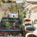 미암초등학교 이미지