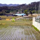 화수리농장 이미지