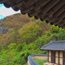 운곡리경로당 | 안동 | 농암종택 (뷰맛집숙소 한옥스테이) 일반열람도 가능한 안동가을여행지