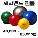 세라밴드 짐볼 이미지