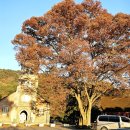 가족공원길 이미지