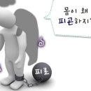 스타일피트 이미지