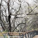 청남대 진입로 이미지