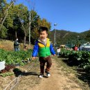 주호농장 이미지