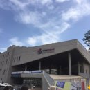 고령군 희망의 새싹 큰잔치 | 대가야문화누리 제15회 고령군 희망의 새싹 큰 잔치 "뮤지컬 사랑 다른사랑"을 보다